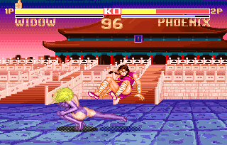 Super Fighter screenshot